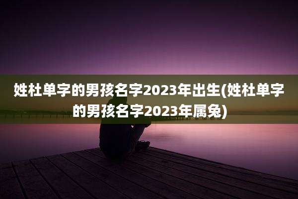 姓杜单字的男孩名字2023年出生(姓杜单字的男孩名字2023年属兔)