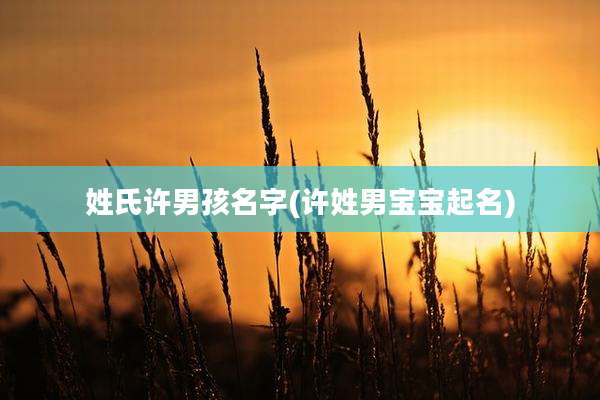 姓氏许男孩名字(许姓男宝宝起名)