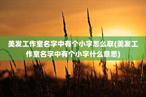 美发工作室名字中有个小字怎么取(美发工作室名字中有个小字什么意思)