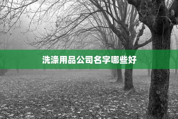 洗涤用品公司名字哪些好