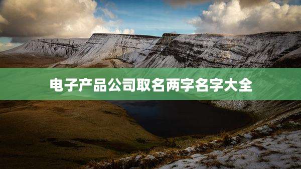 电子产品公司取名两字名字大全