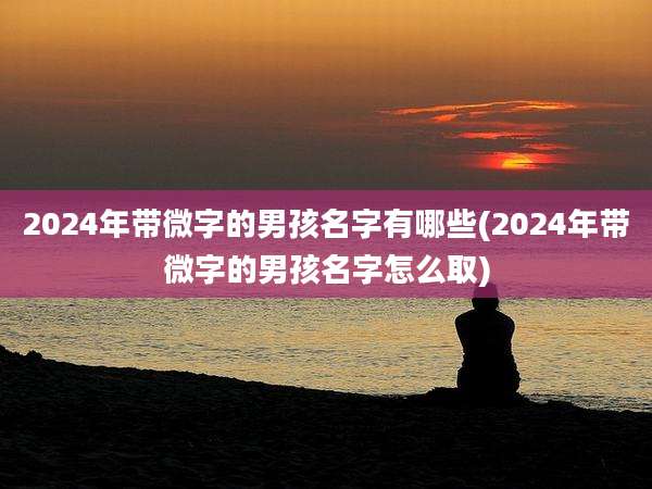 2024年带微字的男孩名字有哪些(2024年带微字的男孩名字怎么取)