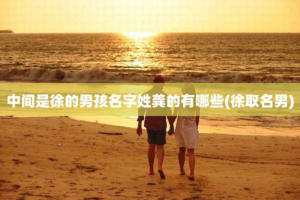 中间是徐的男孩名字姓龚的有哪些(徐取名男)