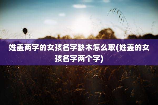 姓盖两字的女孩名字缺木怎么取(姓盖的女孩名字两个字)