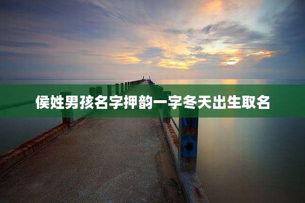 侯姓男孩名字押韵一字冬天出生取名