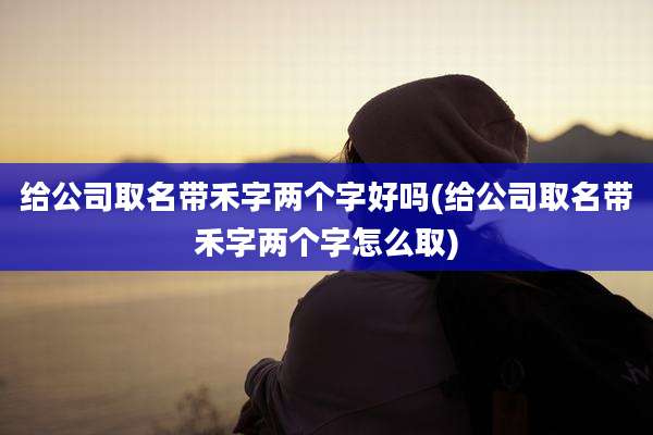 给公司取名带禾字两个字好吗(给公司取名带禾字两个字怎么取)