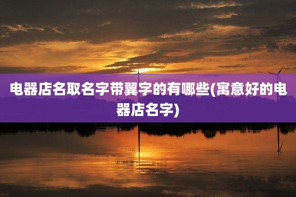 电器店名取名字带翼字的有哪些(寓意好的电器店名字)