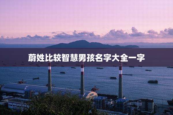 蔚姓比较智慧男孩名字大全一字
