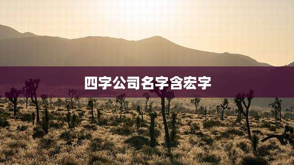 四字公司名字含宏字