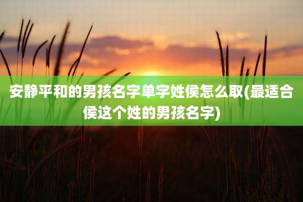 安静平和的男孩名字单字姓侯怎么取(最适合侯这个姓的男孩名字)
