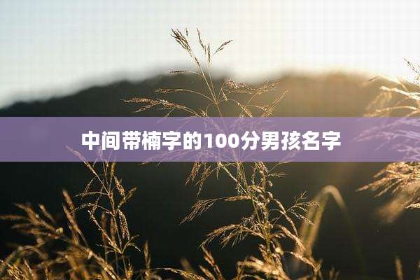 中间带楠字的100分男孩名字
