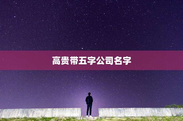 高贵带五字公司名字