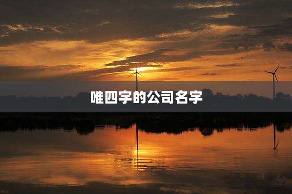 唯四字的公司名字