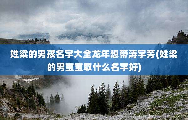 姓粱的男孩名字大全龙年想带涛字旁(姓梁的男宝宝取什么名字好)