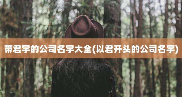 带君字的公司名字大全(以君开头的公司名字)