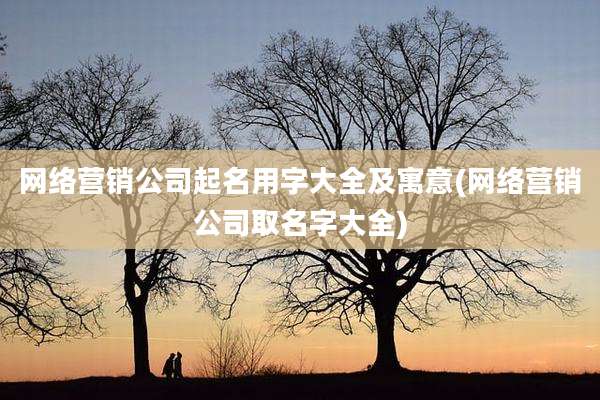 网络营销公司起名用字大全及寓意(网络营销公司取名字大全)