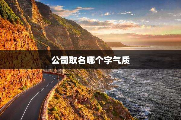 公司取名哪个字气质