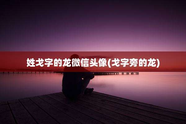 姓戈字的龙微信头像(戈字旁的龙)