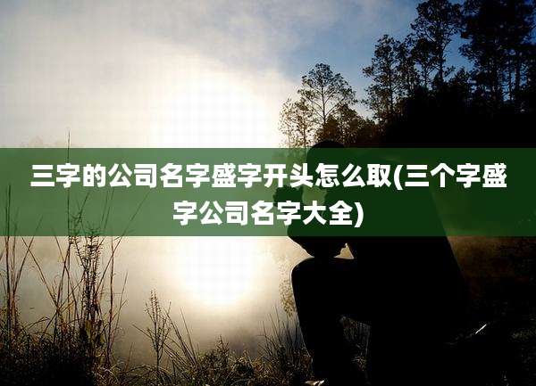 三字的公司名字盛字开头怎么取(三个字盛字公司名字大全)