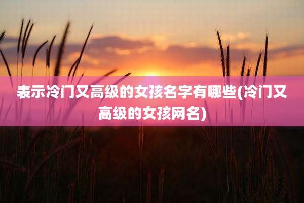 表示冷门又高级的女孩名字有哪些(冷门又高级的女孩网名)