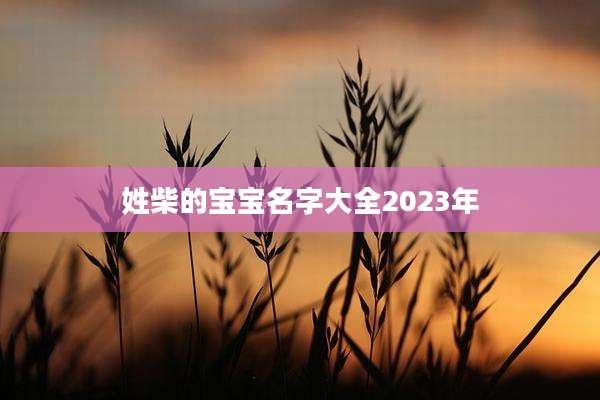 姓柴的宝宝名字大全2023年