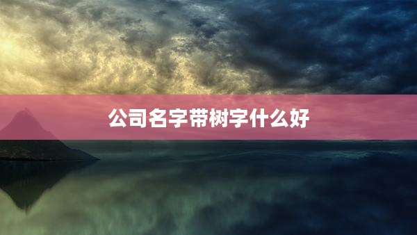 公司名字带树字什么好