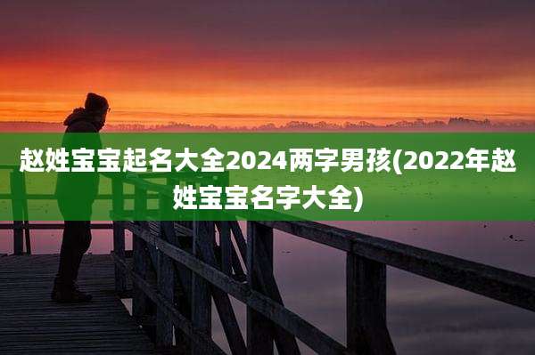 赵姓宝宝起名大全2024两字男孩(2022年赵姓宝宝名字大全)