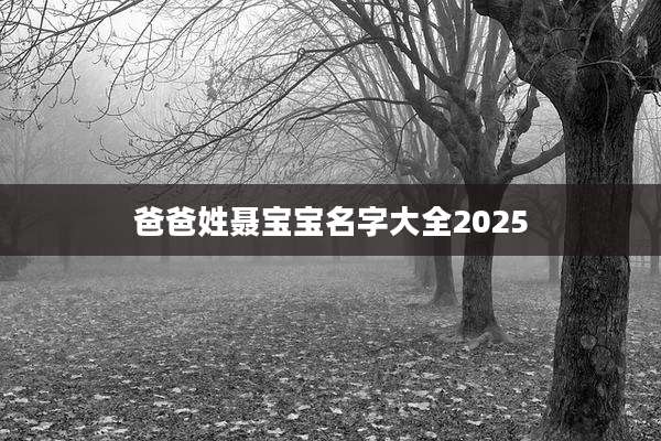 爸爸姓聂宝宝名字大全2025