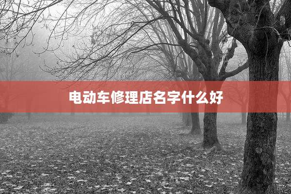 电动车修理店名字什么好