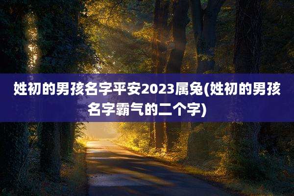 姓初的男孩名字平安2023属兔(姓初的男孩名字霸气的二个字)