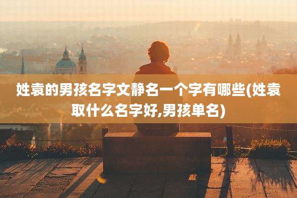 姓袁的男孩名字文静名一个字有哪些(姓袁取什么名字好,男孩单名)