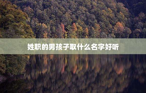 姓职的男孩子取什么名字好听