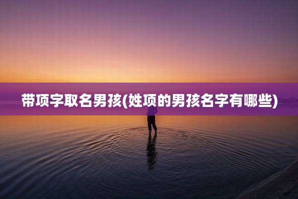 带项字取名男孩(姓项的男孩名字有哪些)