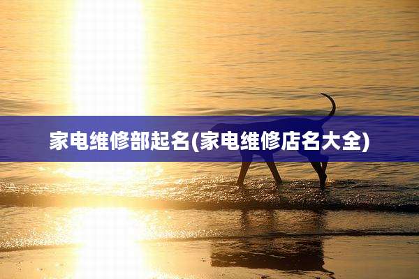 家电维修部起名(家电维修店名大全)