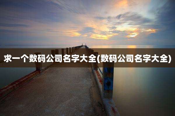 求一个数码公司名字大全(数码公司名字大全)