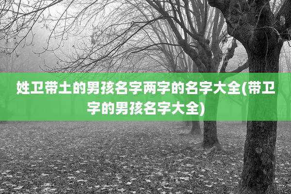 姓卫带土的男孩名字两字的名字大全(带卫字的男孩名字大全)