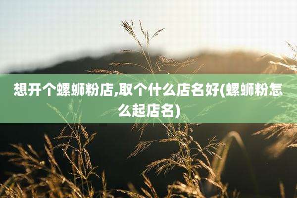 想开个螺蛳粉店,取个什么店名好(螺蛳粉怎么起店名)
