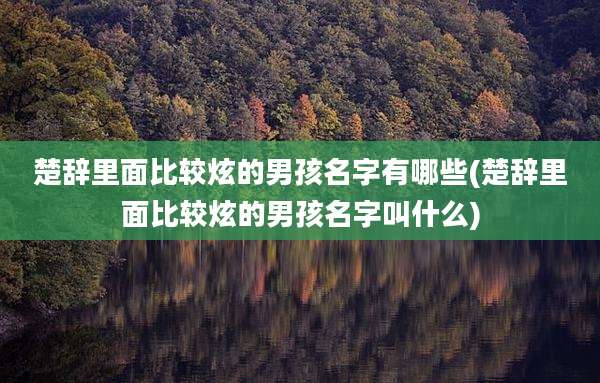 楚辞里面比较炫的男孩名字有哪些(楚辞里面比较炫的男孩名字叫什么)