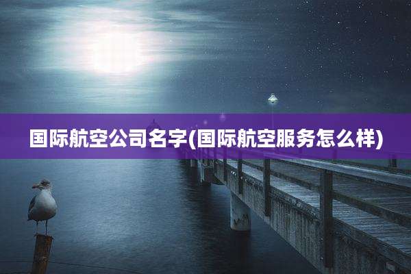 国际航空公司名字(国际航空服务怎么样)