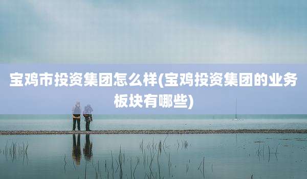 宝鸡市投资集团怎么样(宝鸡投资集团的业务板块有哪些)