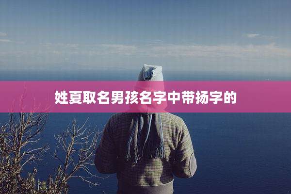 姓夏取名男孩名字中带扬字的