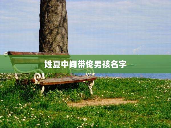 姓夏中间带佟男孩名字