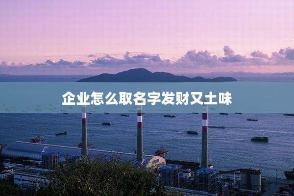企业怎么取名字发财又土味