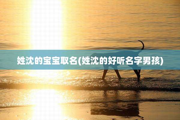姓沈的宝宝取名(姓沈的好听名字男孩)