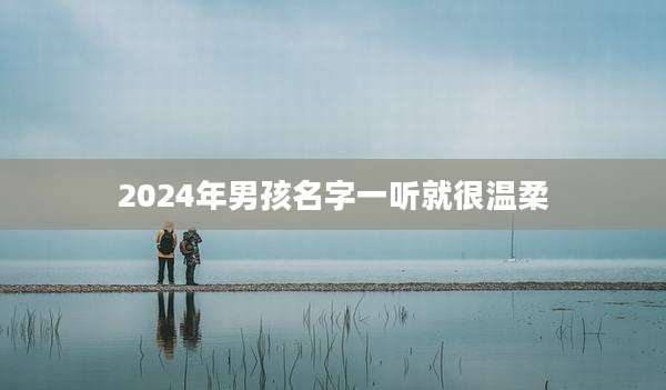 2024年男孩名字一听就很温柔