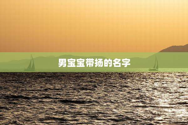 男宝宝带扬的名字