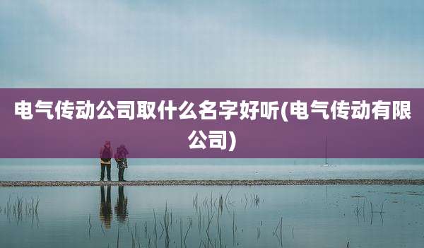 电气传动公司取什么名字好听(电气传动有限公司)