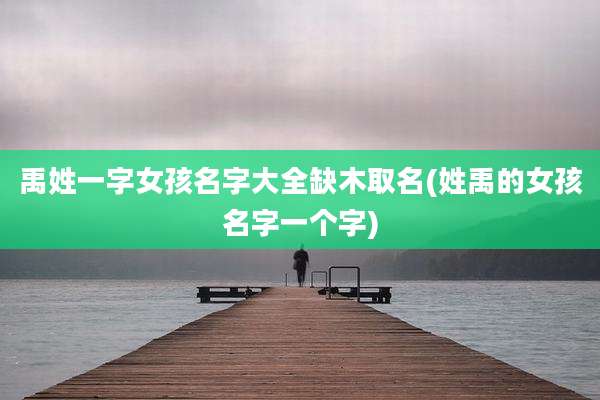 禹姓一字女孩名字大全缺木取名(姓禹的女孩名字一个字)