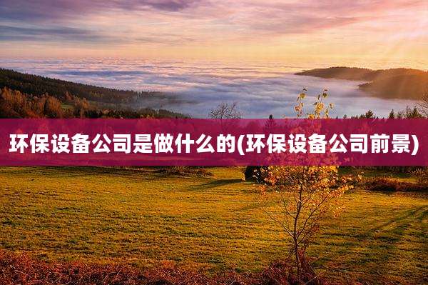 环保设备公司是做什么的(环保设备公司前景)