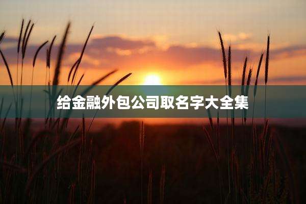 给金融外包公司取名字大全集